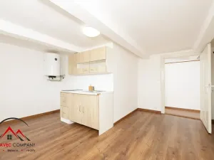 Pronájem bytu 1+1, Ostrava, Mariánskohorská, 31 m2