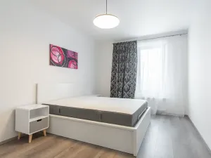 Pronájem bytu 2+kk, Praha - Karlín, Nekvasilova, 67 m2