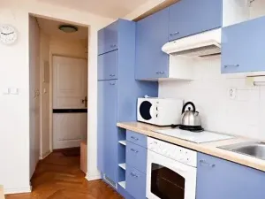 Pronájem bytu 1+kk, Praha - Vinohrady, Varšavská, 46 m2