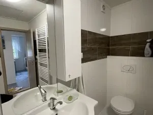 Pronájem chaty, Petříkov, 55 m2