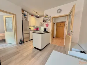 Prodej bytu 2+kk, Kralupy nad Vltavou, Přemyslova, 50 m2