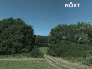 Prodej louky, Dobrkovice, 7192 m2