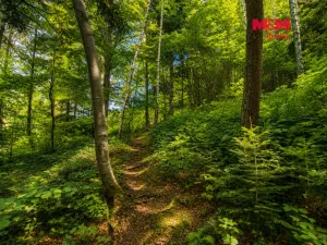 Prodej chaty, Trojanovice, 62 m2