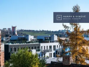 Pronájem bytu 1+kk, Brno, Chaloupkova, 23 m2