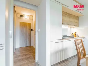 Prodej bytu 1+kk, Havířov - Šumbark, Letní, 30 m2