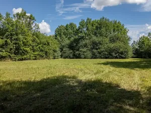 Prodej zemědělské usedlosti, Dolní Roveň, 200 m2