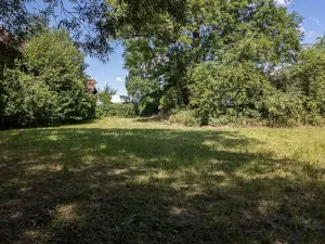 Prodej zemědělské usedlosti, Dolní Roveň, 200 m2