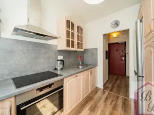 Prodej bytu 4+1, Mladá Boleslav, Mládežnická, 78 m2
