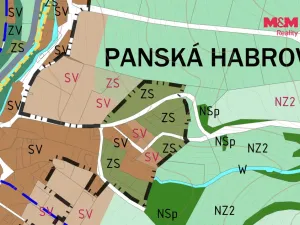 Prodej pozemku pro bydlení, Rychnov nad Kněžnou - Panská Habrová, 3787 m2