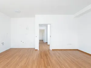 Prodej bytu 2+kk, Lázně Bohdaneč, Šípkova, 89 m2