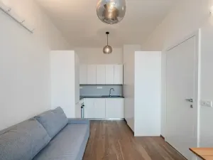 Pronájem bytu 1+1, Praha - Žižkov, Řehořova, 32 m2