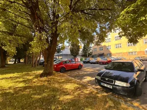 Pronájem bytu 2+1, Brno, Dalimilova, 63 m2