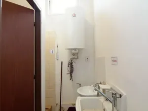 Pronájem obchodního prostoru, Brněnec, 238 m2