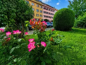 Prodej bytu 2+1, Praha, Pelhřimovská, 73 m2