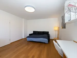 Pronájem bytu 4+kk, Praha - Motol, U hrušky, 150 m2