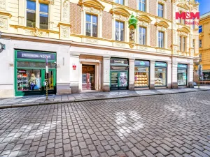 Pronájem bytu 2+1, Plzeň - Vnitřní Město, Rooseveltova, 77 m2