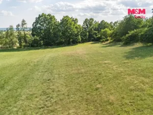 Prodej komerčního pozemku, Líšťany, 8154 m2