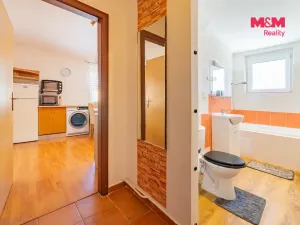 Pronájem bytu 1+1, Horní Slavkov, Dlouhá, 49 m2