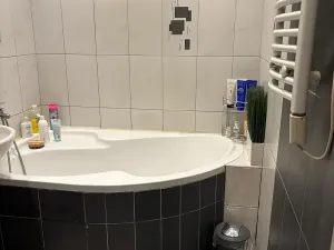 Pronájem bytu 2+1, Praha - Vinohrady, Nad olšinami, 56 m2