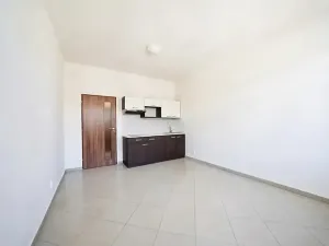 Prodej bytu 1+kk, Brno, Vranovská, 29 m2