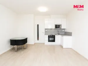 Pronájem bytu 1+kk, Praha - Dolní Měcholupy, Honzíkova, 28 m2