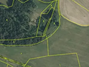Prodej lesa, Horní Pěna, 3291 m2