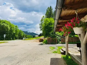Prodej restaurace, Valašské Klobouky, Brumovská, 467 m2