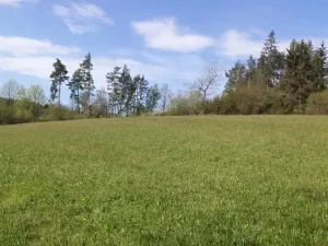 Prodej pole, Mokrosuky, 9910 m2