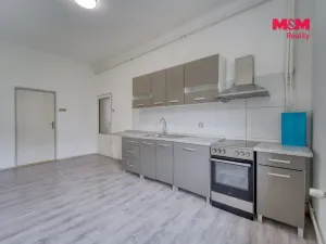 Pronájem bytu 2+1, Plzeň - Východní Předměstí, Jablonského, 61 m2