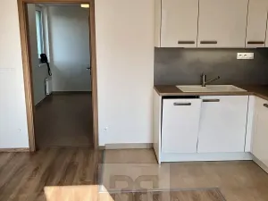 Pronájem bytu 1+kk, Praha - Hodkovičky, Šífařská, 40 m2