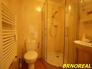 Pronájem bytu 1+1, Brno, Sibiřská, 31 m2