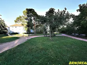 Pronájem bytu 1+1, Brno, Sibiřská, 31 m2