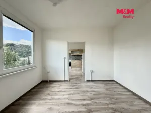 Pronájem bytu 1+1, Děčín, Plavební, 28 m2