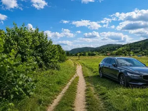 Prodej zahrady, Všenory, 174 m2