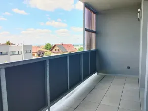 Pronájem bytu 2+kk, Plzeň, K Lutové, 51 m2