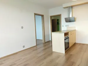 Pronájem bytu 2+kk, Plzeň, K Lutové, 51 m2