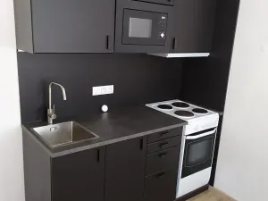 Pronájem bytu 1+1, Benešov, Nová Pražská, 42 m2