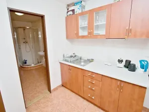 Pronájem bytu 3+kk, Brno, Hrnčířská, 75 m2