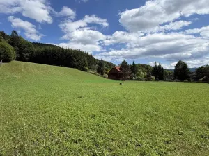 Prodej pozemku pro bydlení, Nový Hrozenkov, 8167 m2