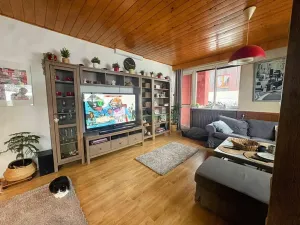 Prodej rodinného domu, Ostravice, 320 m2