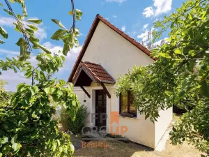 Prodej zahrady, Dyje, 501 m2