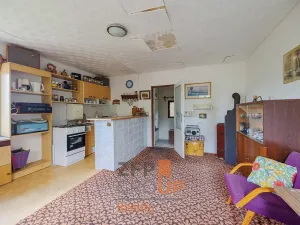 Prodej zahrady, Dyje, 501 m2