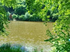 Prodej chaty, Petrov, 31 m2