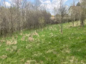 Prodej pozemku pro bydlení, Sázava, 7630 m2