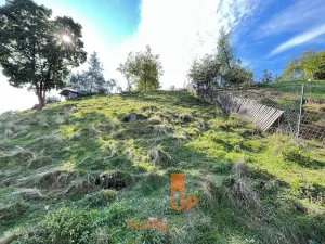 Prodej rodinného domu, Znojmo, Mlýnská, 71 m2