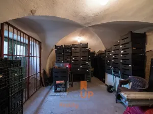Prodej obchodního prostoru, Šatov, 470 m2
