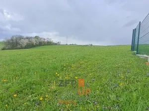 Prodej pozemku pro bydlení, Bruzovice, 3269 m2