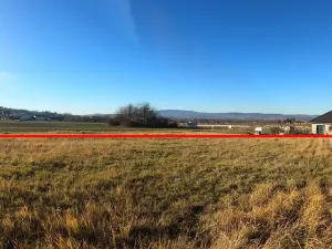 Prodej pozemku, Staré Hodějovice, Pod Poustevníkem, 1316 m2