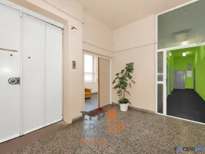 Pronájem obchodního prostoru, Hodonín, Velkomoravská, 702 m2
