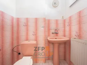 Prodej rodinného domu, Němčice nad Hanou, Nová, 300 m2